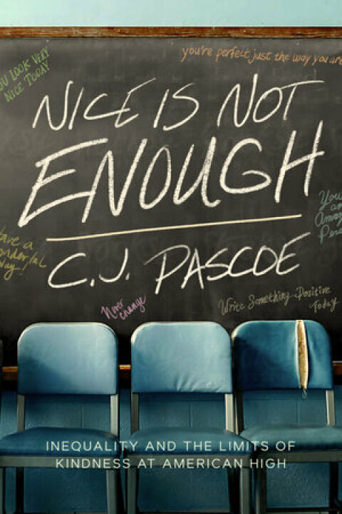 Cover image for book Nice Is Not Enough