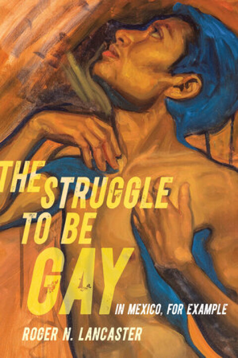 Cover image for book The Struggle to Be Gay—in Mexico, for Example