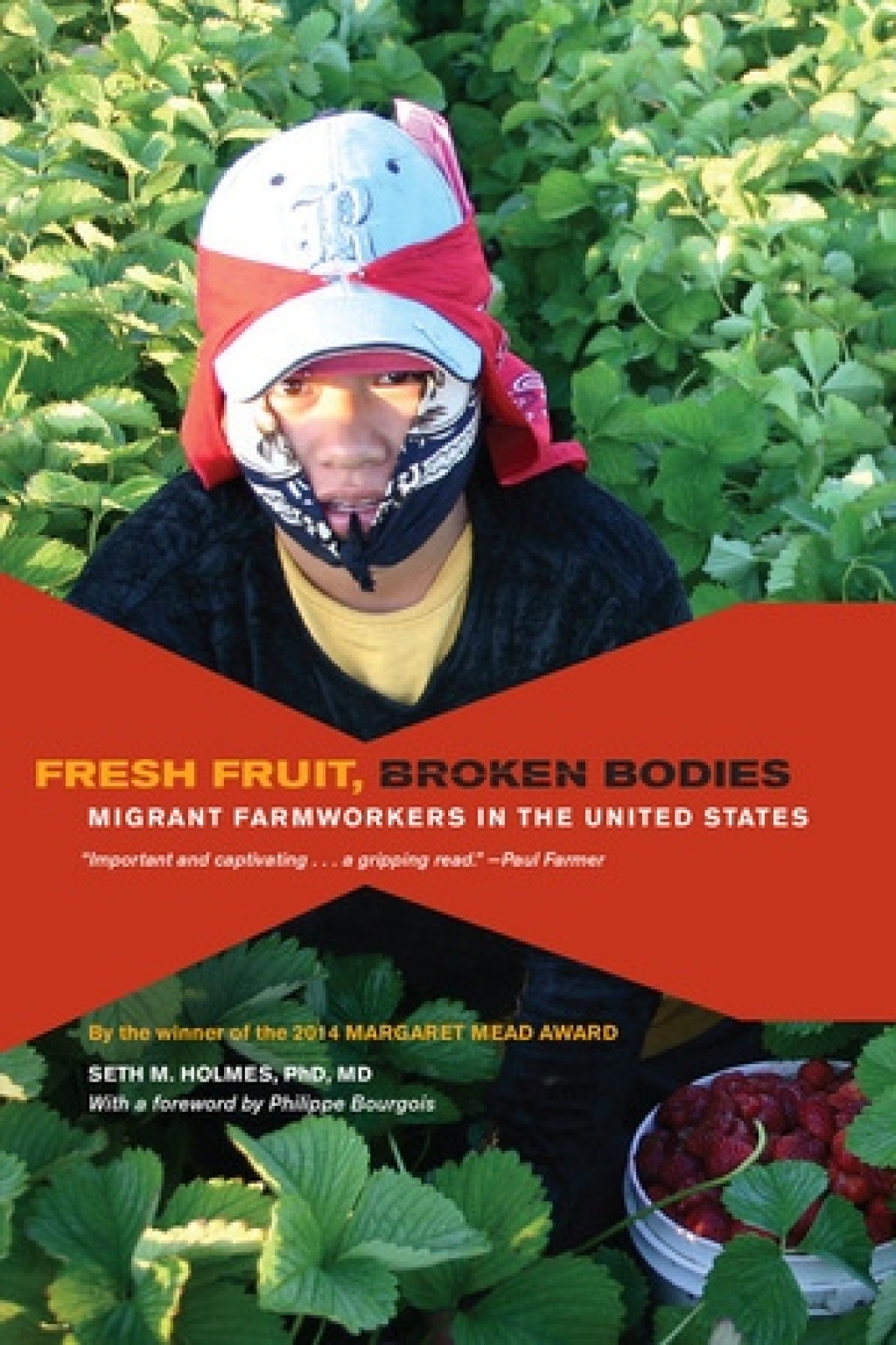 Reflowable Fresh Fruit, Broken Bodies; $33.24
