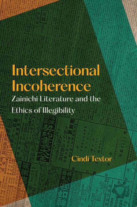 Cover image for book Intersectional Incoherence