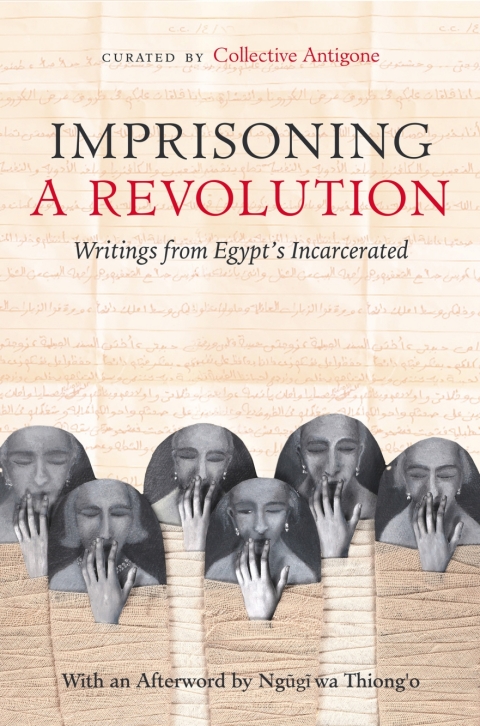 Cover image for book Imprisoning a Revolution
