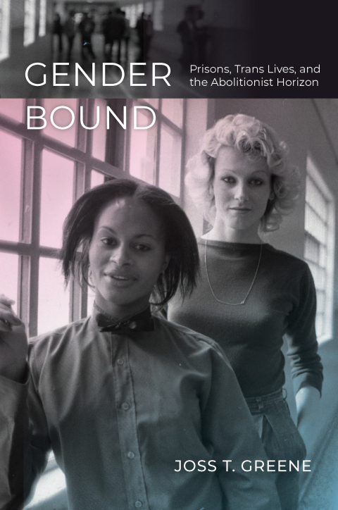 Cover image for book Gender Bound