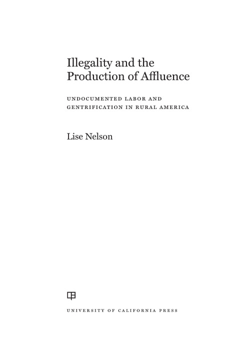 Cover image for book Illegality and the Production of Affluence