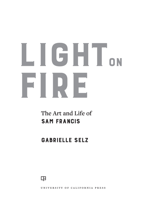 Cover image for book Light on Fire
