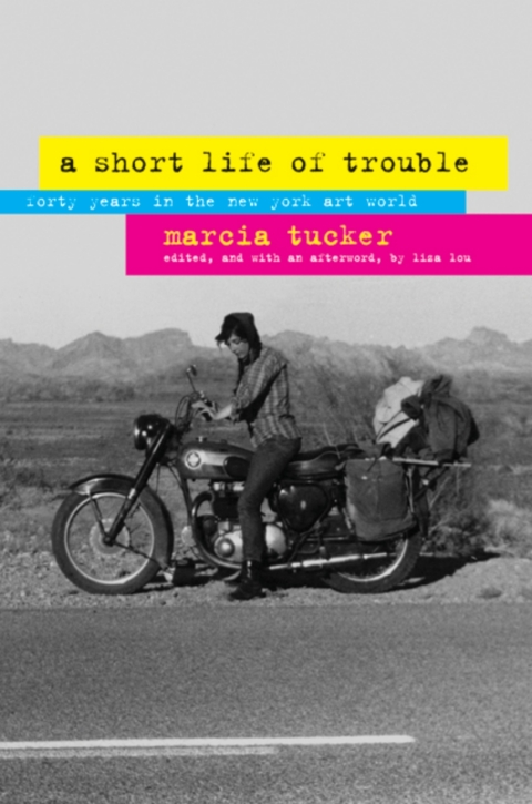 Cover image for book A Short Life of Trouble