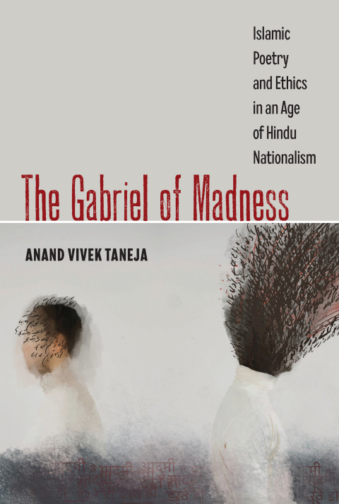 Cover image for book The Gabriel of Madness