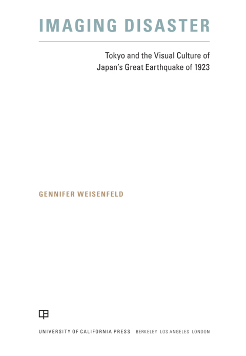 Cover image for book Imaging Disaster