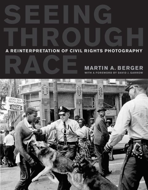 Cover image for book Seeing through Race