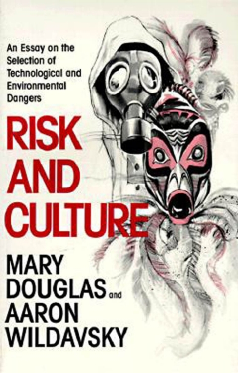 Cover image for book Risk and Culture