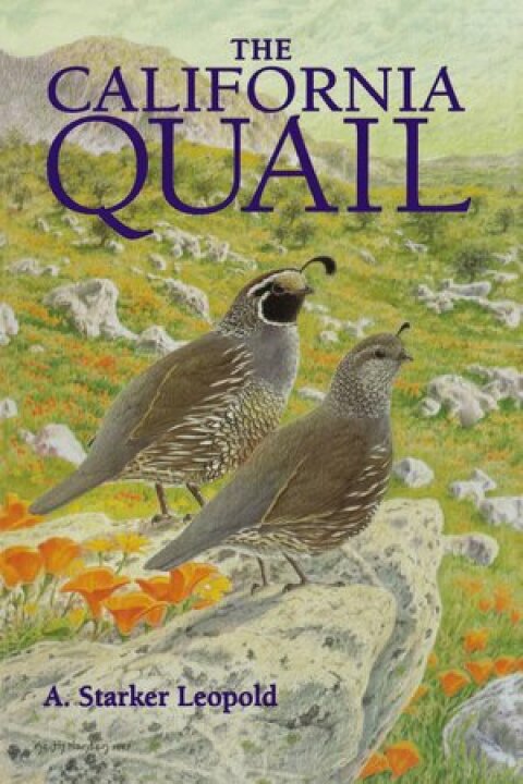 Cover image for book The California Quail
