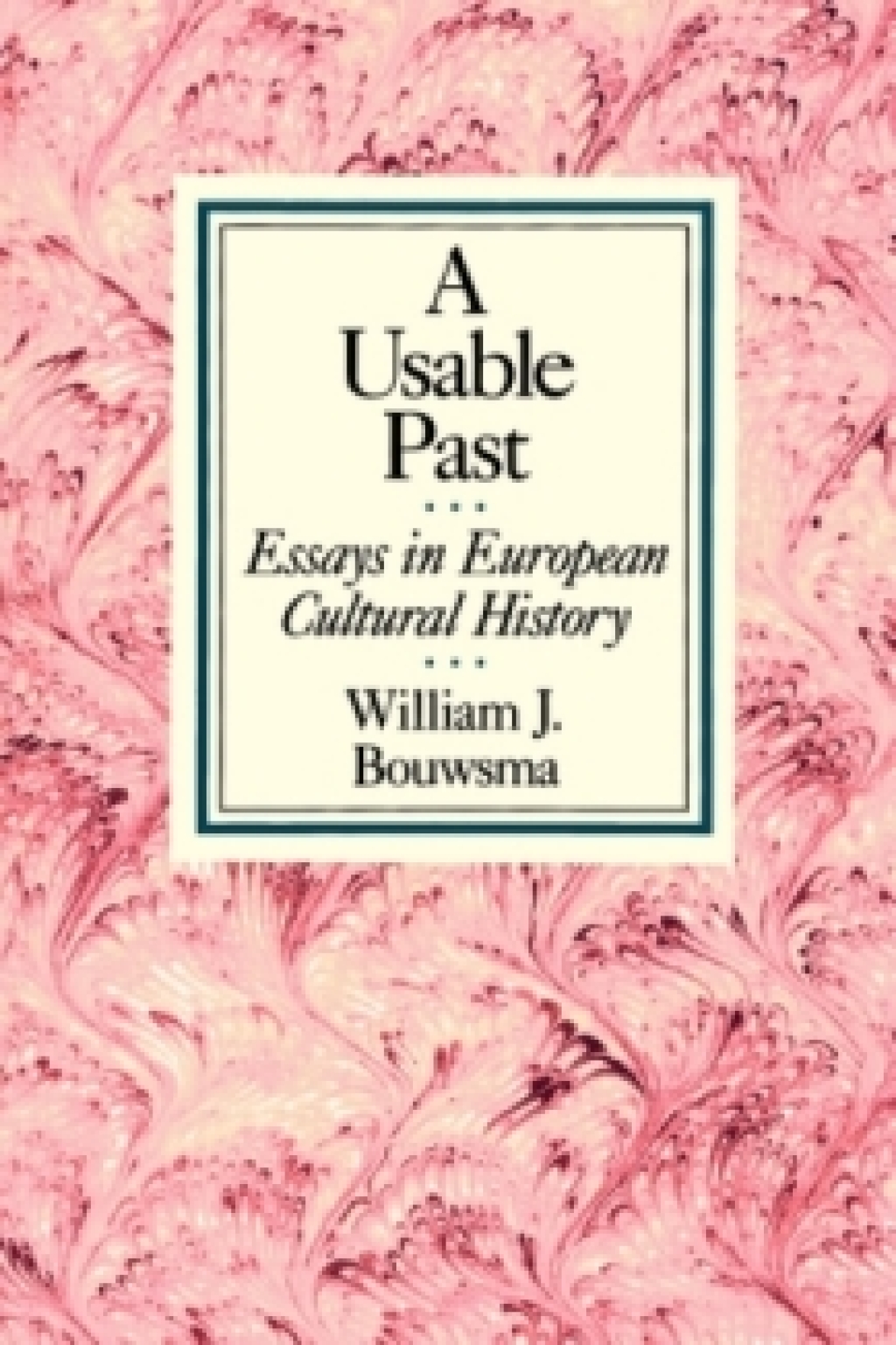 Page Fidelity A Usable Past; $34.35