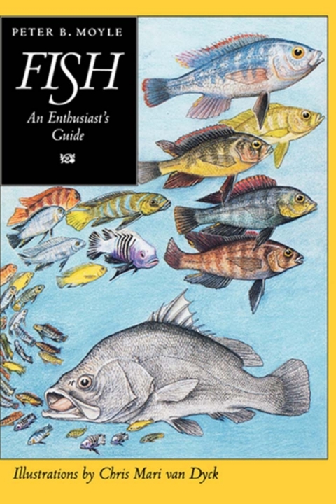 Cover image for book Fish