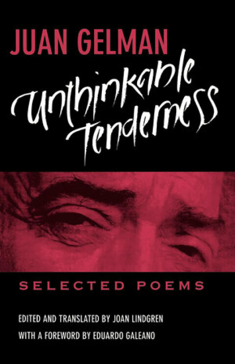 Cover image for book Unthinkable Tenderness