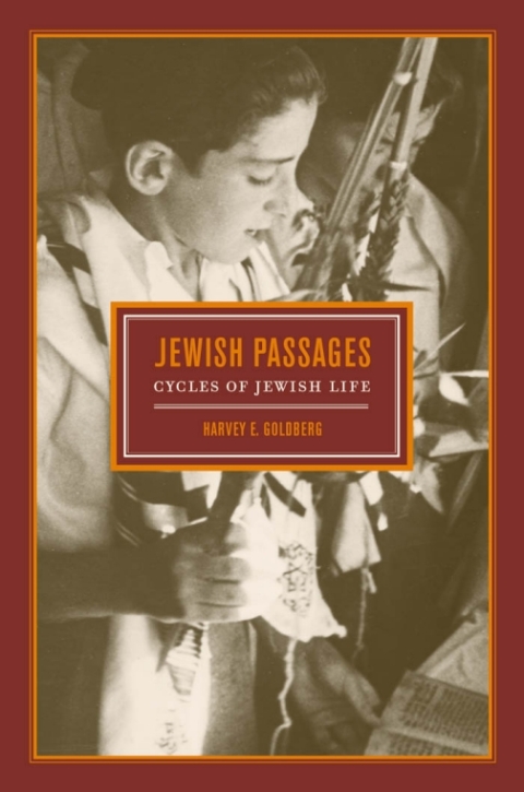 Cover image for book Jewish Passages