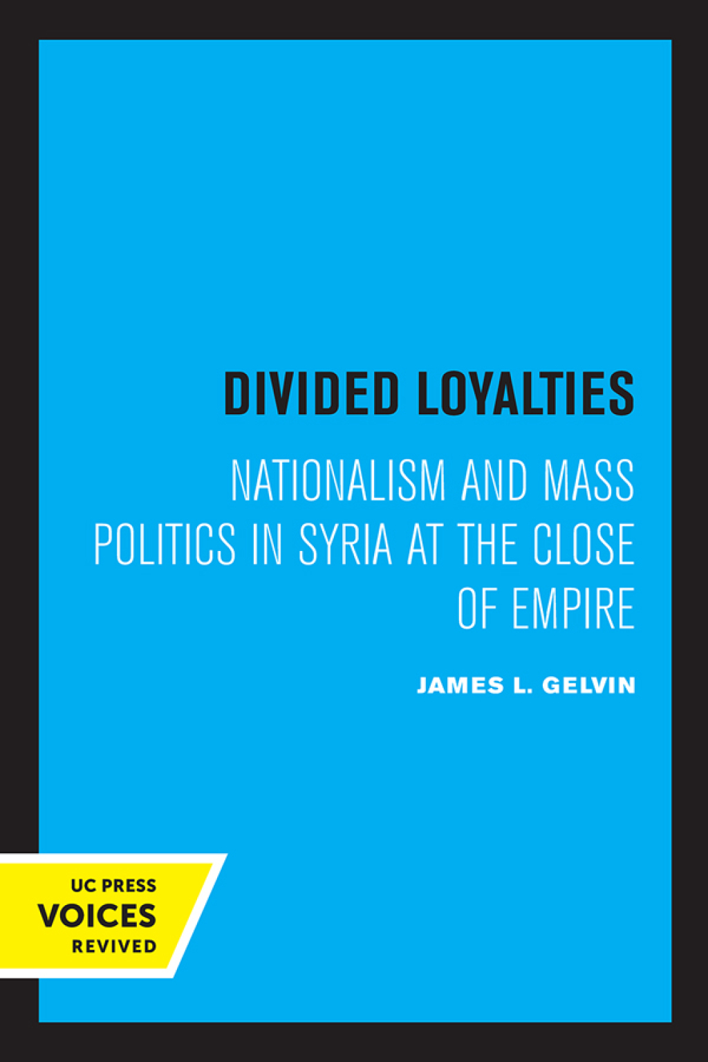 Reflowable Divided Loyalties; $37.68