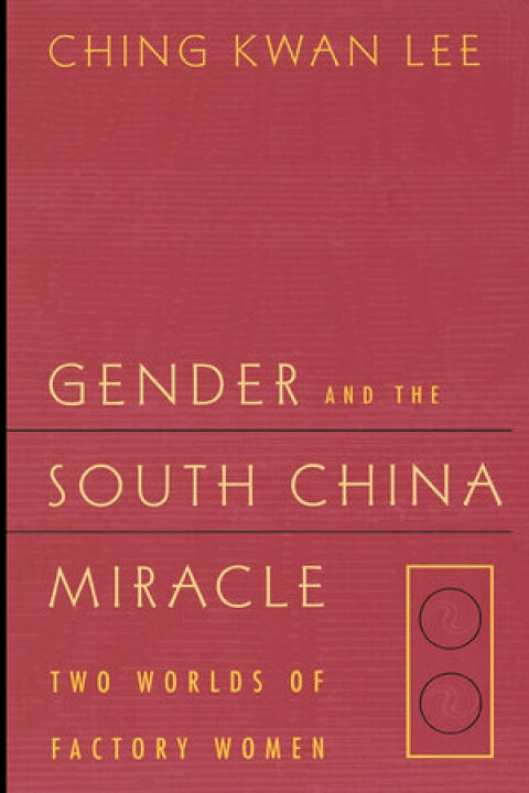 Cover image for book Gender and the South China Miracle