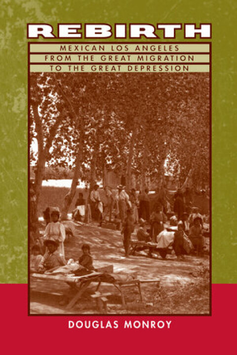 Cover image for book Rebirth