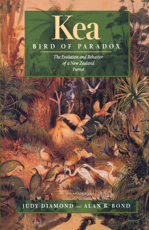 Cover image for book Kea, Bird of Paradox