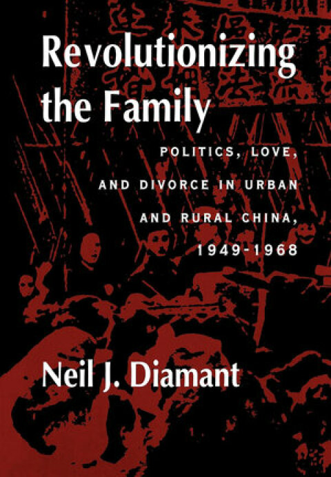 Cover image for book Revolutionizing the Family