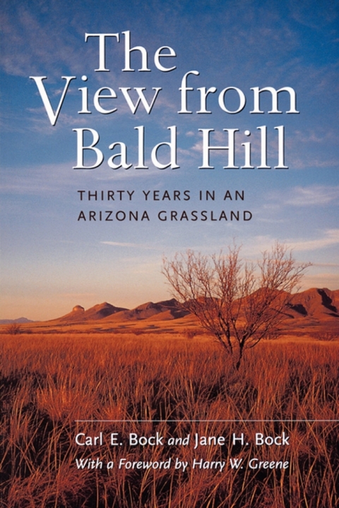 Cover image for book The View from Bald Hill