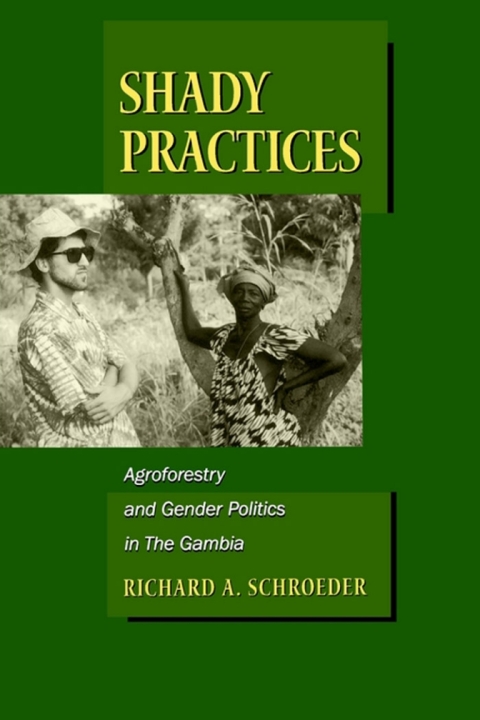 Cover image for book Shady Practices