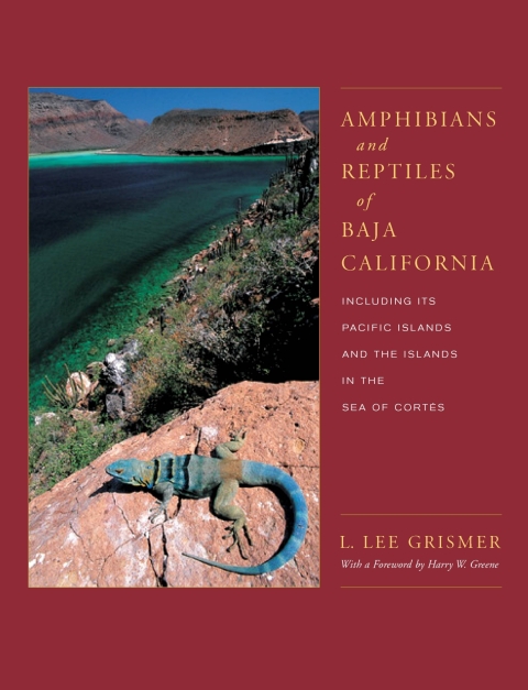 Cover image for book Amphibians and Reptiles of Baja California, Including Its Pacific Islands and the Islands in the Sea of Cortes