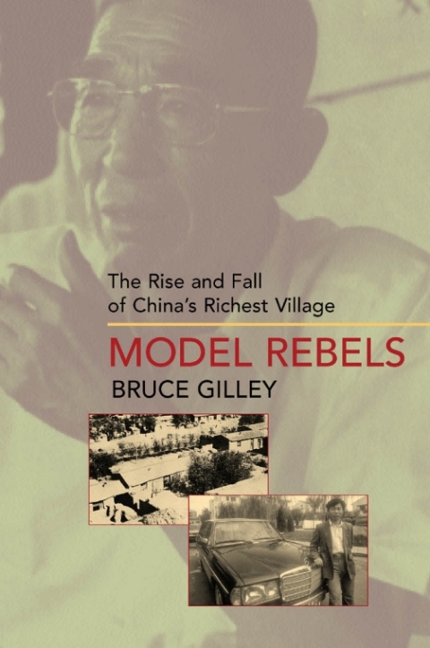 Cover image for book Model Rebels