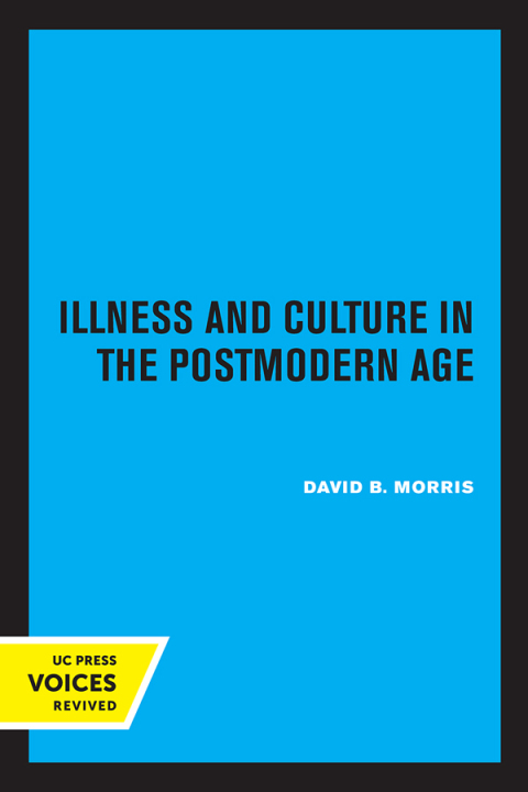 Cover image for book Illness and Culture in the Postmodern Age