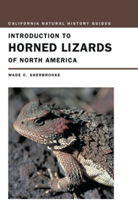 Cover image for book Introduction to Horned Lizards of North America