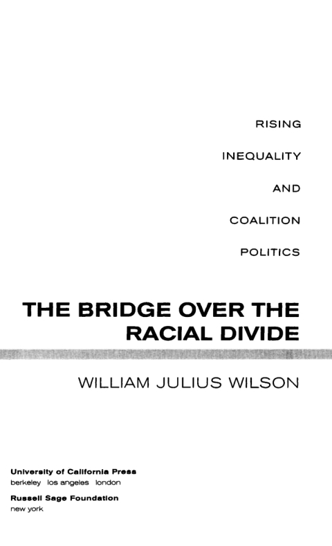 Cover image for book The Bridge over the Racial Divide