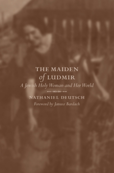 Cover image for book The Maiden of Ludmir