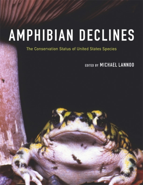Cover image for book Amphibian Declines