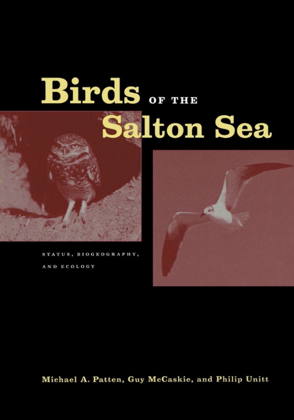 Page Fidelity Birds of the Salton Sea; $94.35
