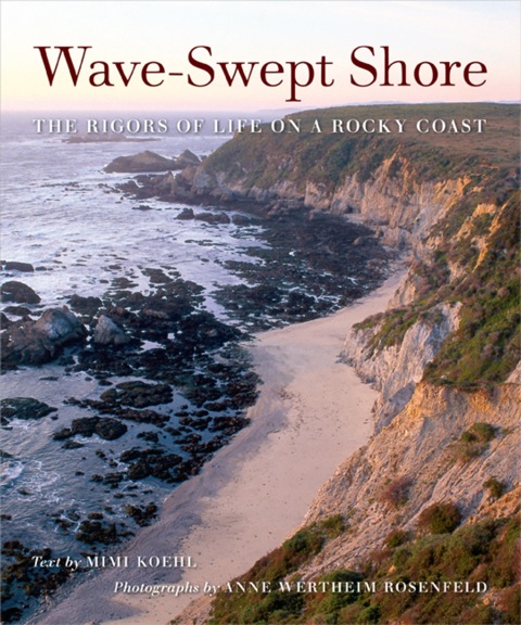 Cover image for book Wave-Swept Shore