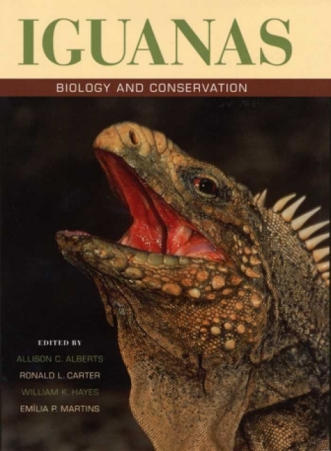 Cover image for book Iguanas