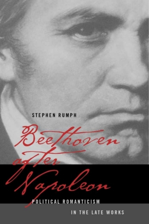 Cover image for book Beethoven after Napoleon