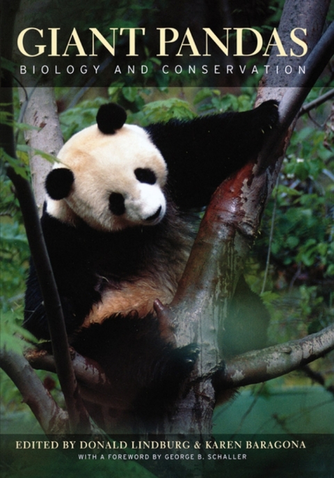 Cover image for book Giant Pandas