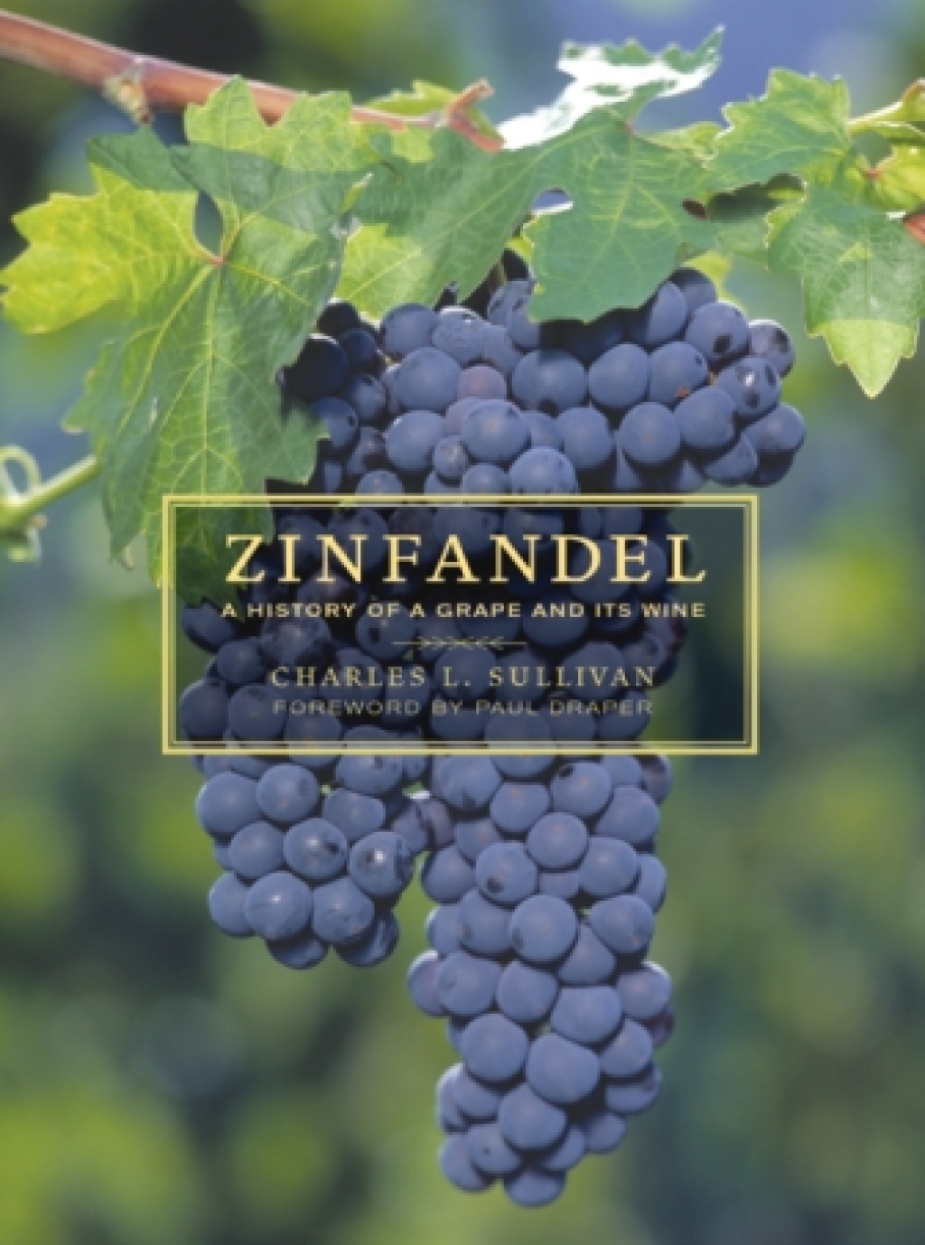 Page Fidelity Zinfandel; $43.23