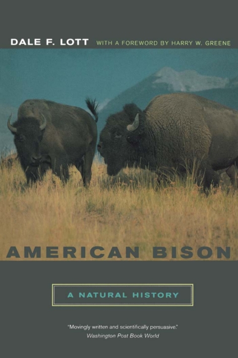 Cover image for book American Bison