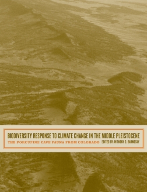 Cover image for book Biodiversity Response to Climate Change in the Middle Pleistocene