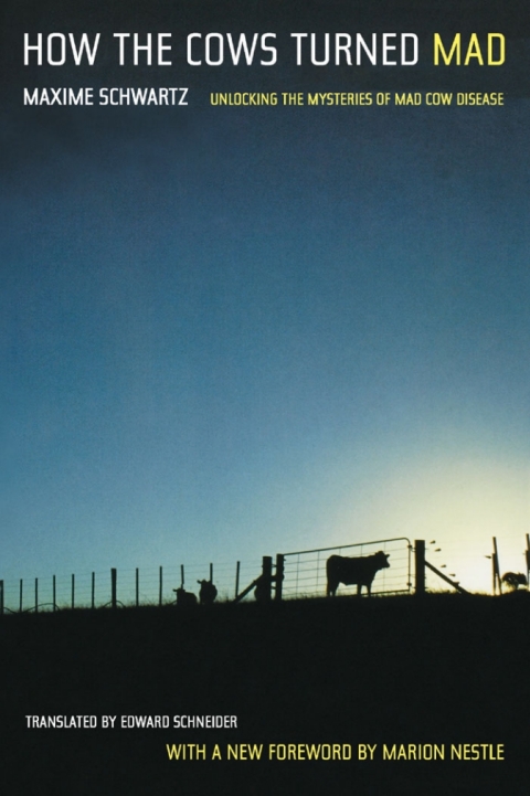 Cover image for book How the Cows Turned Mad