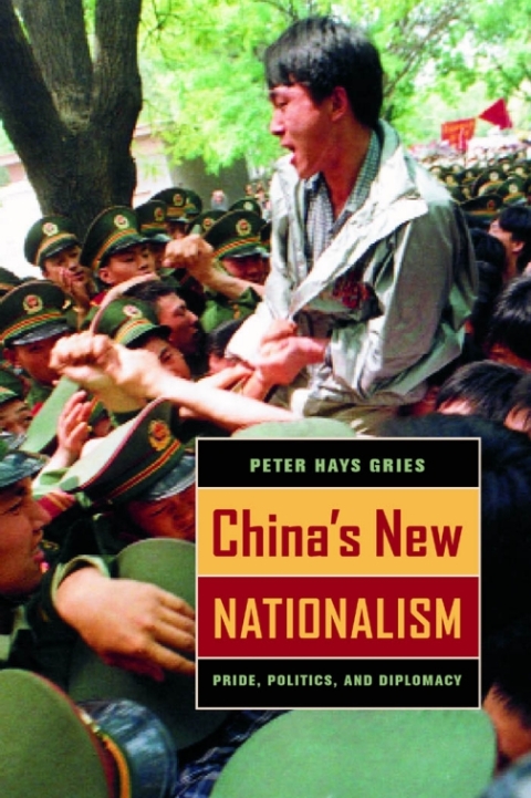 Cover image for book China's New Nationalism