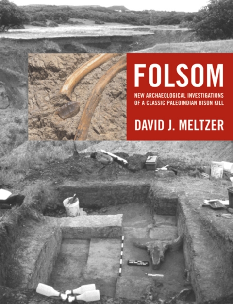 Cover image for book Folsom