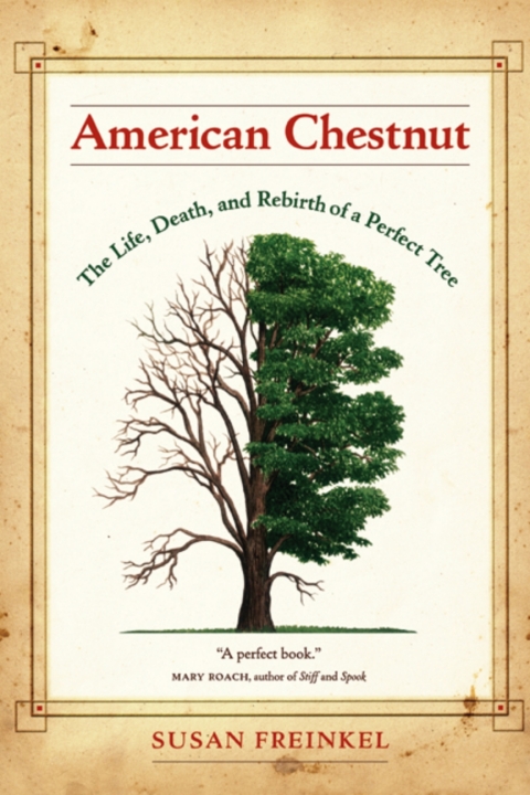 Cover image for book American Chestnut