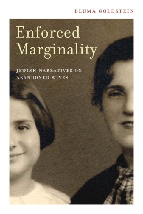 Cover image for book Enforced Marginality