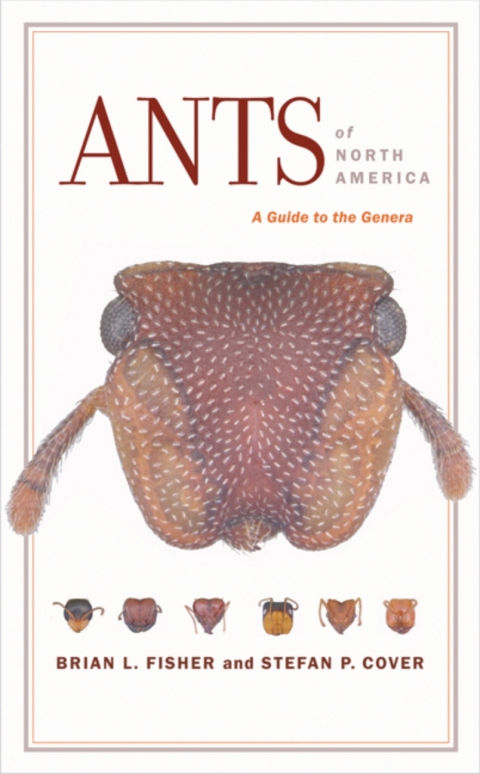Cover image for book Ants of North America