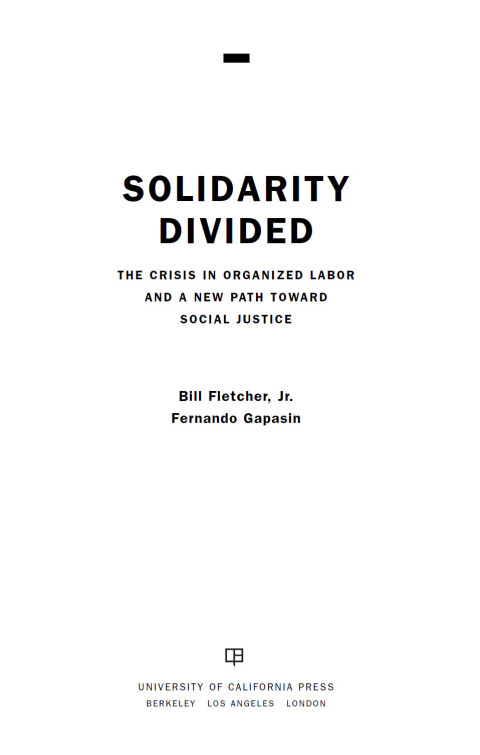 Cover image for book Solidarity Divided