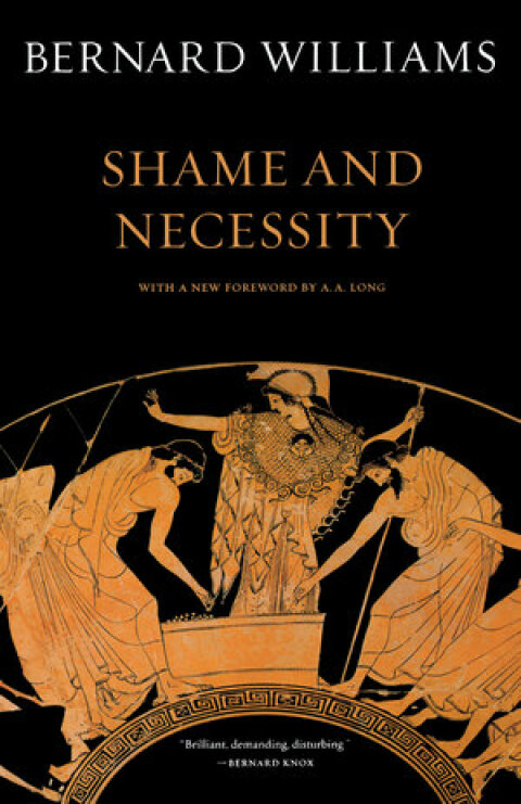 Cover image for book Shame and Necessity, Second Edition