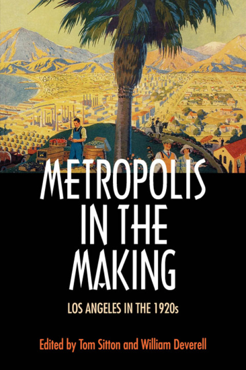 Cover image for book Metropolis in the Making