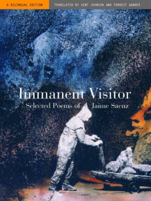 Cover image for book Immanent Visitor
